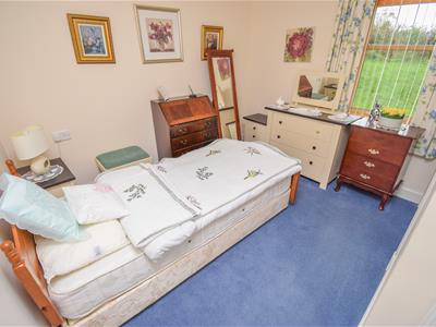 Picture 13